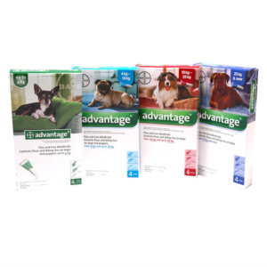 Image showing pack shots for Advantage flea treatment for dogs, all four dog sizes