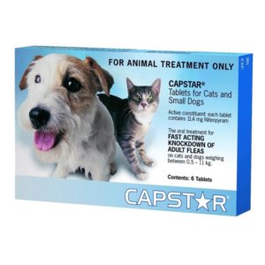 Image of box for Capstar flea treatment for cats and small dogs