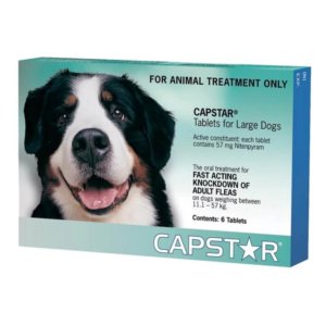 Image of box for Capstar flea treatment for large dogs