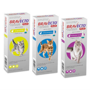 Pack images for Bravecto Plus for Cats - 3 different dosages.